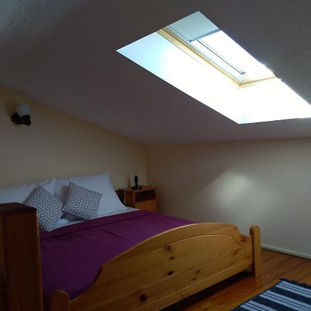 Apartments Davor 비오그라드나모루 외부 사진